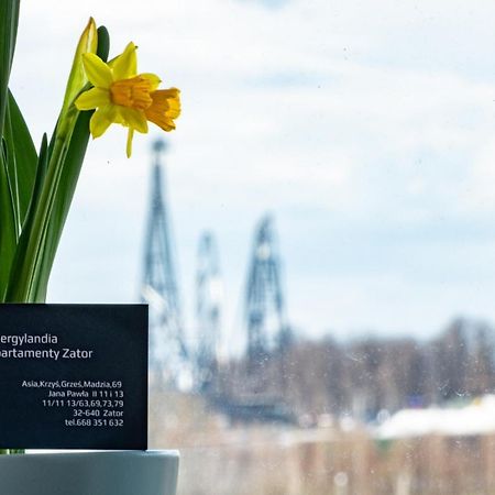 Energylandia Zator Apartament Grzes Luaran gambar
